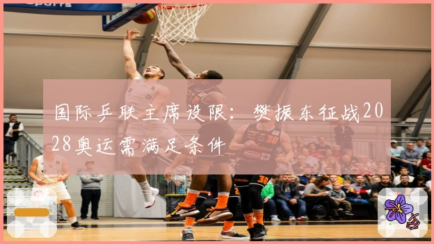 国际乒联主席设限：樊振东征战2028奥运需满足条件