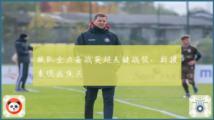狼队全力备战英超关键战役,新援表现成焦点